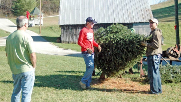 Dickess Tree Farm offers unique visit - The Tribune | The Tribune