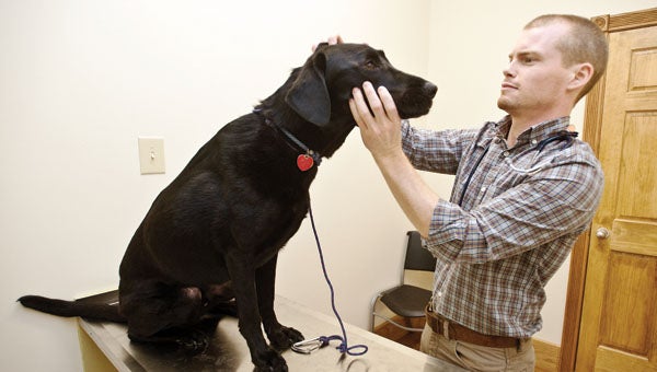 Vet clinic opens in downtown Ironton The Tribune The Tribune