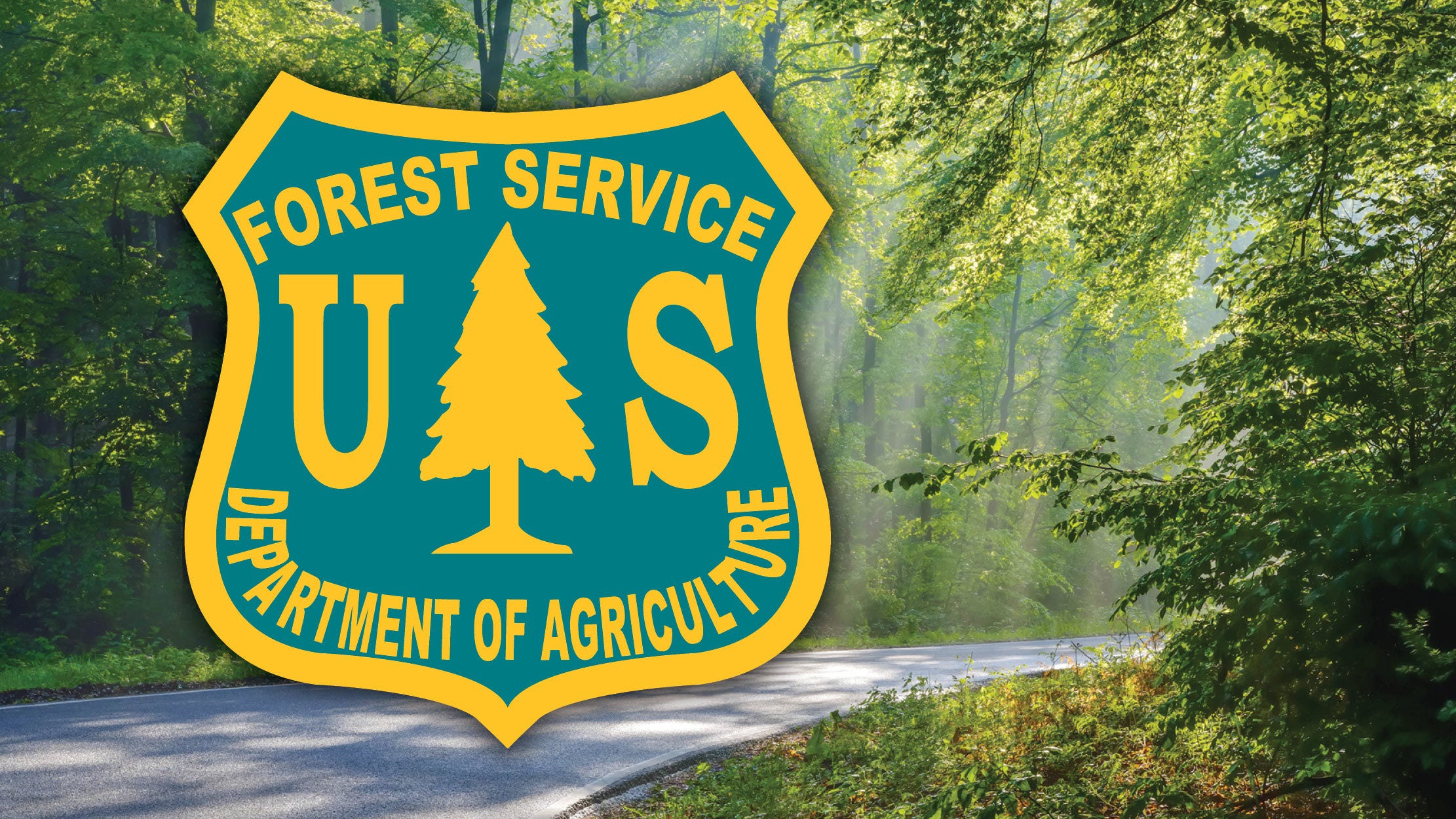 Wayne National Forest Trail passes now available for online purchase ...