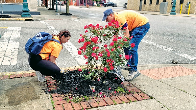 Students from St. Joseph High School spent part of Friday cleaning up the sidewalks and putting down mulch as part of a community service project. They have done the cleanup in preparation for the Ironton-Lawrence County Memorial Day Parade for the past 20 years. (Ironton Tribune | Mark Shaffer)