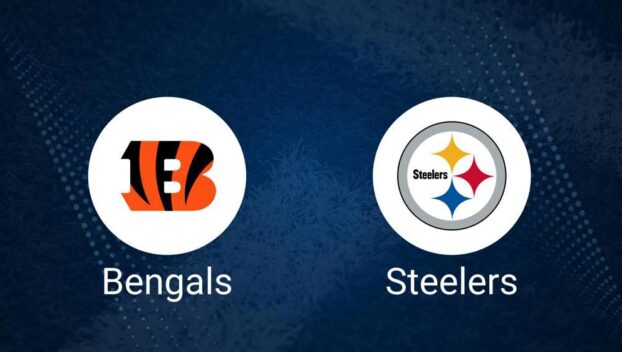 Bengals vs. Steelers Predictions & Picks: Odds, Moneyline, Spread - Week 13