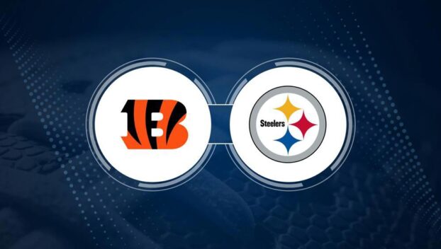 Best Bets, Odds for the Bengals vs. Steelers Game – Week 13