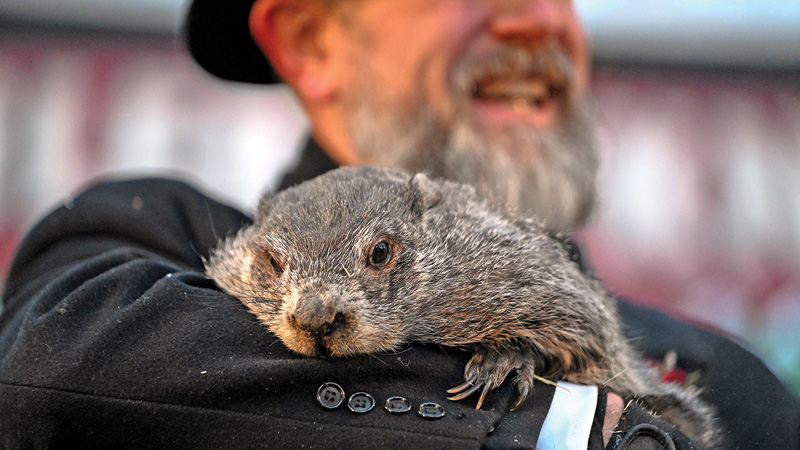 Punxsutawney Phil says we have six more weeks of winter